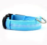 Glow Pet Collar