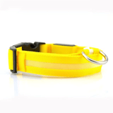 Glow Pet Collar